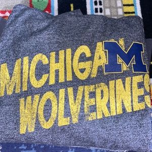 Michigan Wolverine hoodie